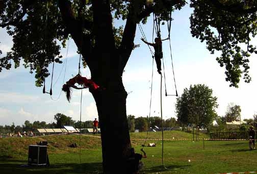 rencontre arboricole