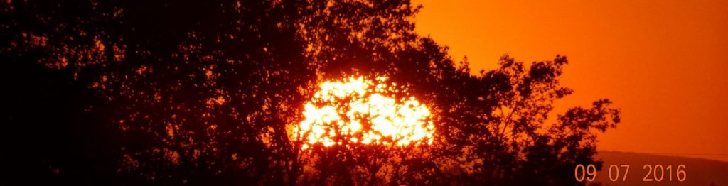 dsc09443-1-e1482855082325