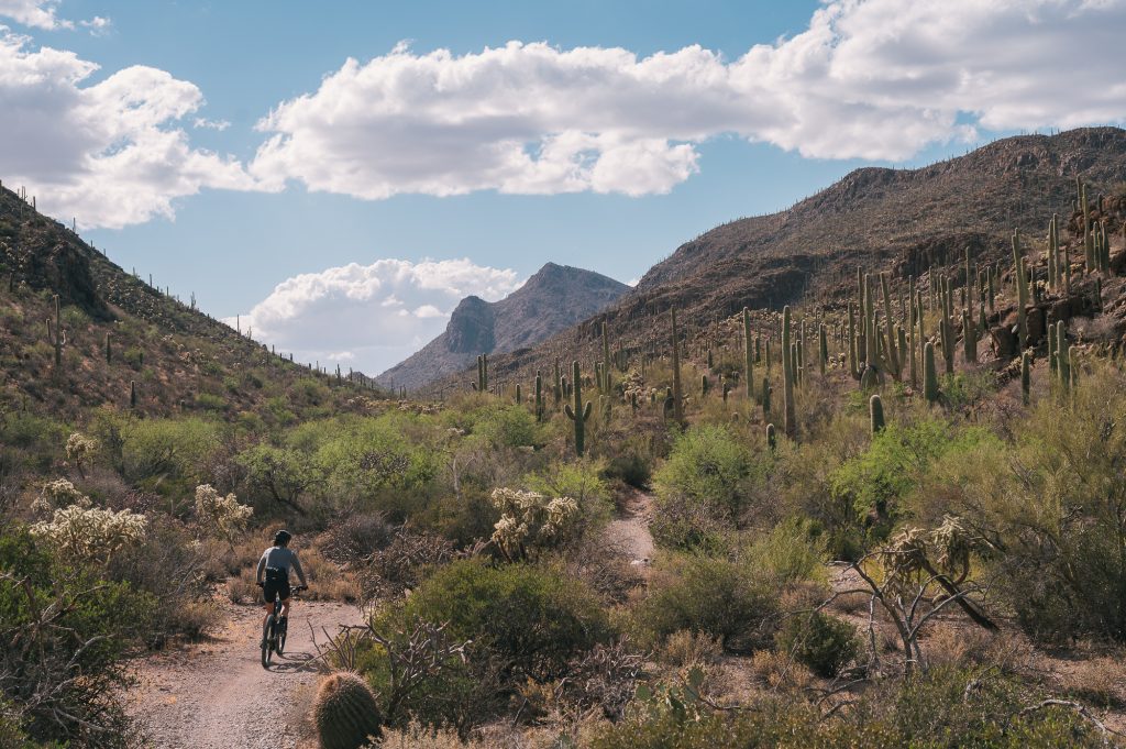 Tucson ride by Spencer Harding